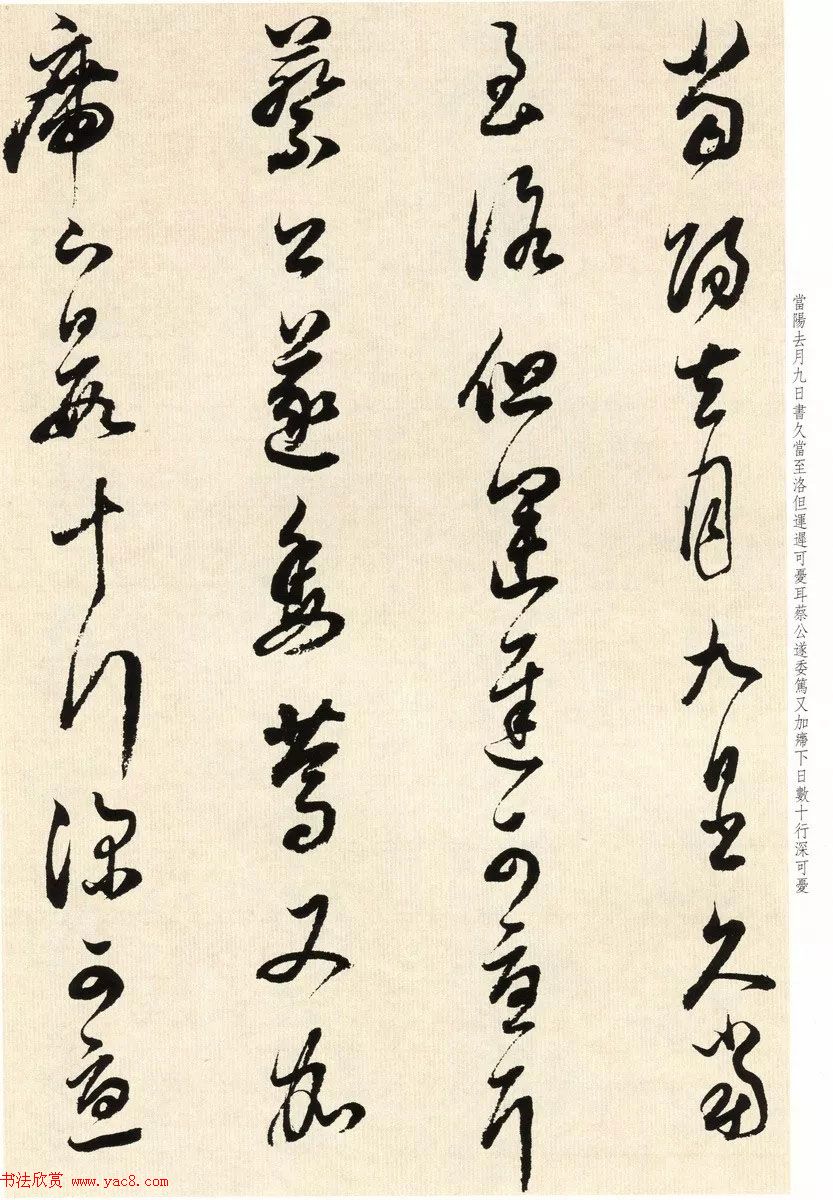 鷨ʦٴ