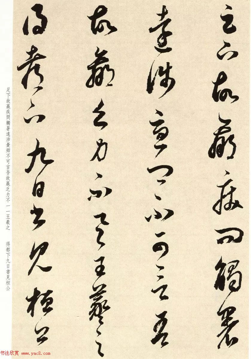 鷨ʦٴ