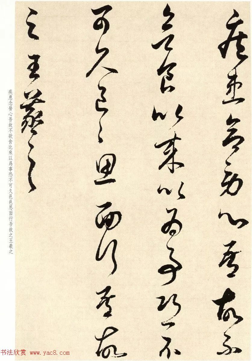鶭ٴ