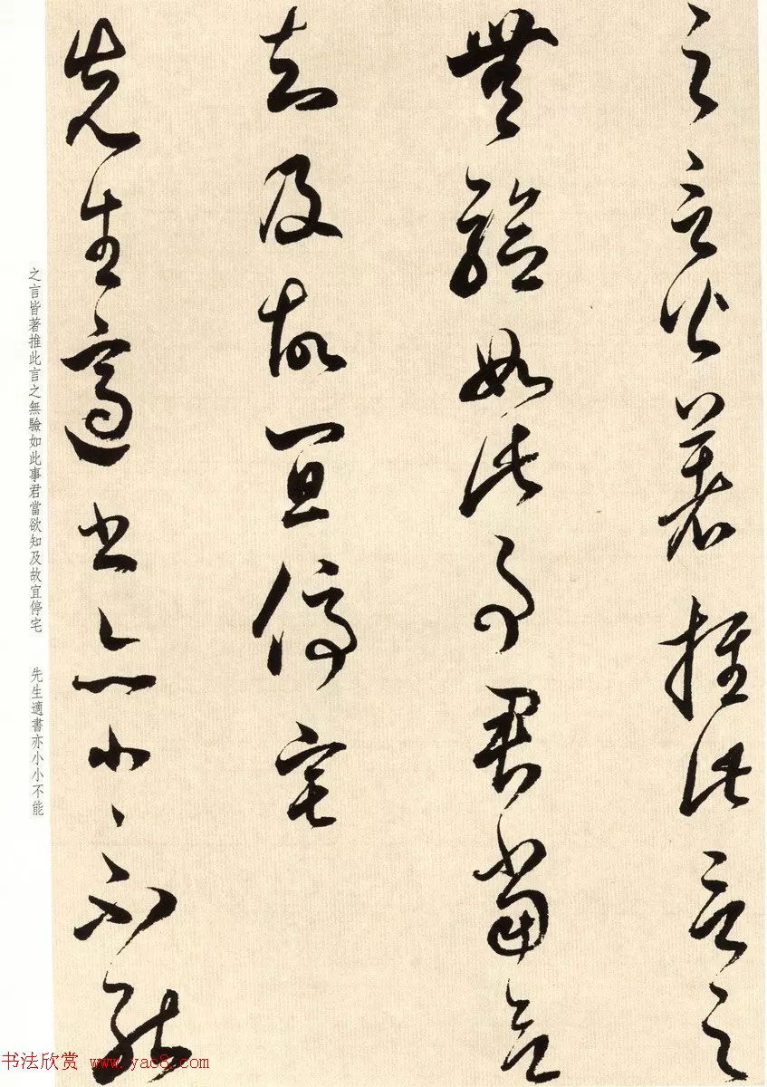 鶭ٴ