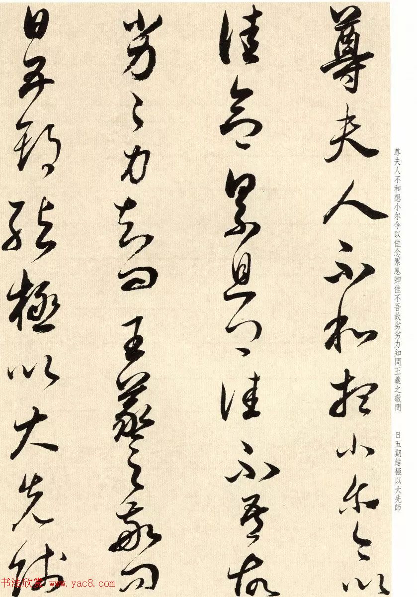 鶭ٴ