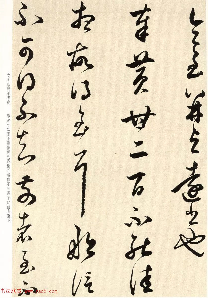鶭ٴ