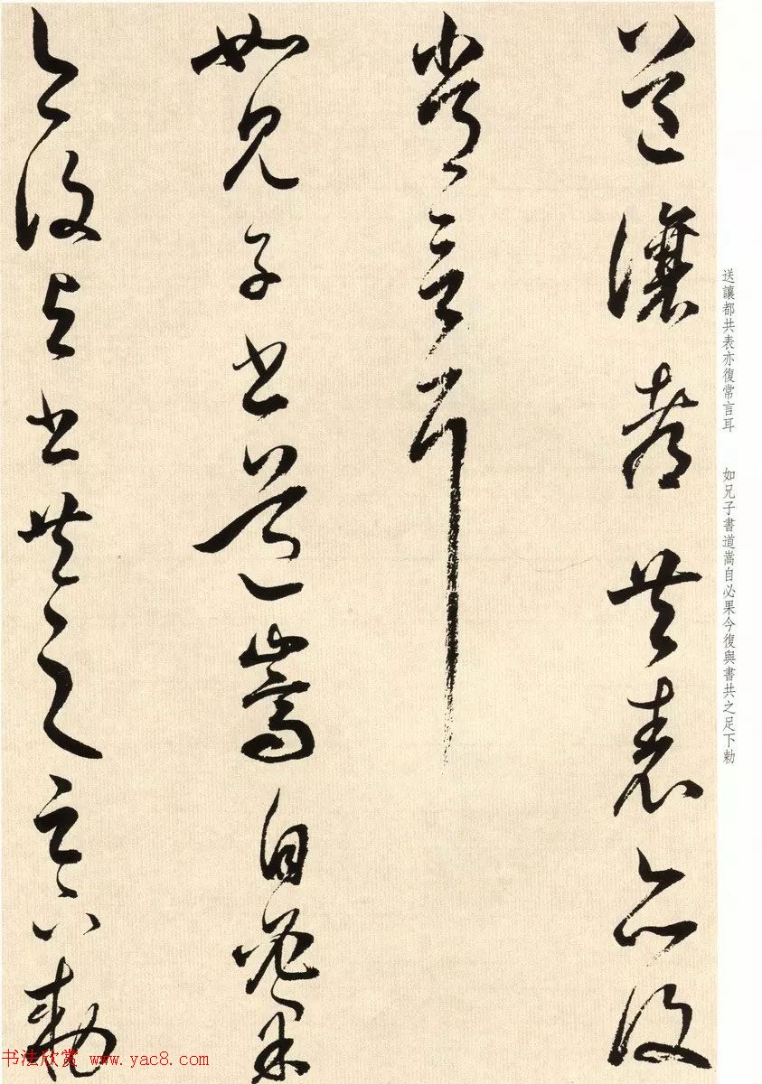 鶭ٴ