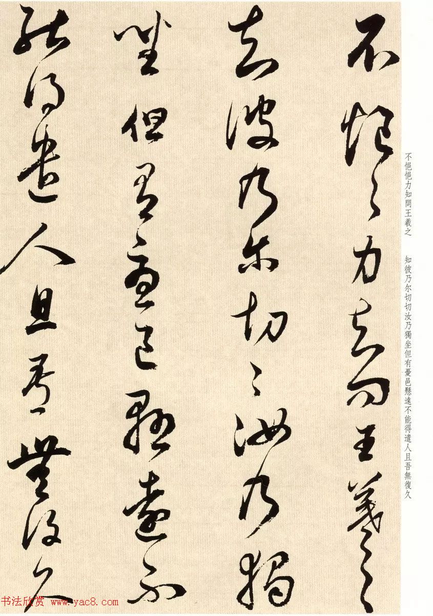 鶭ٴ