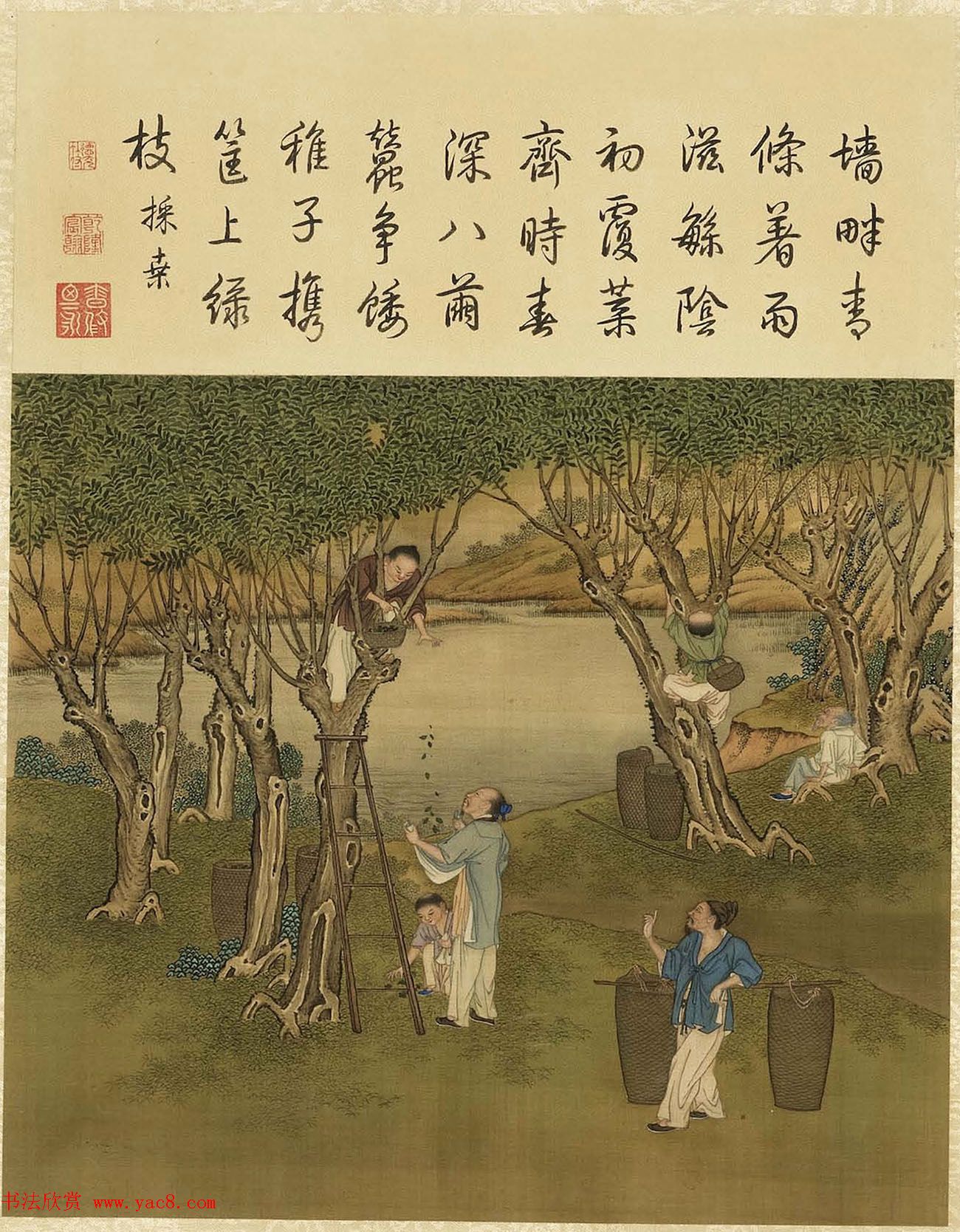 清代宫廷画师陈枚彩绘本耕织图6