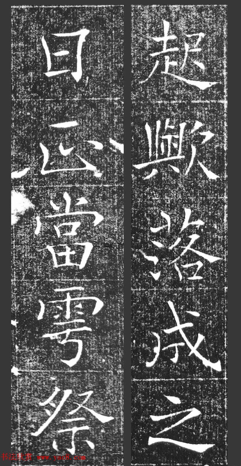 鷨޼ǡ