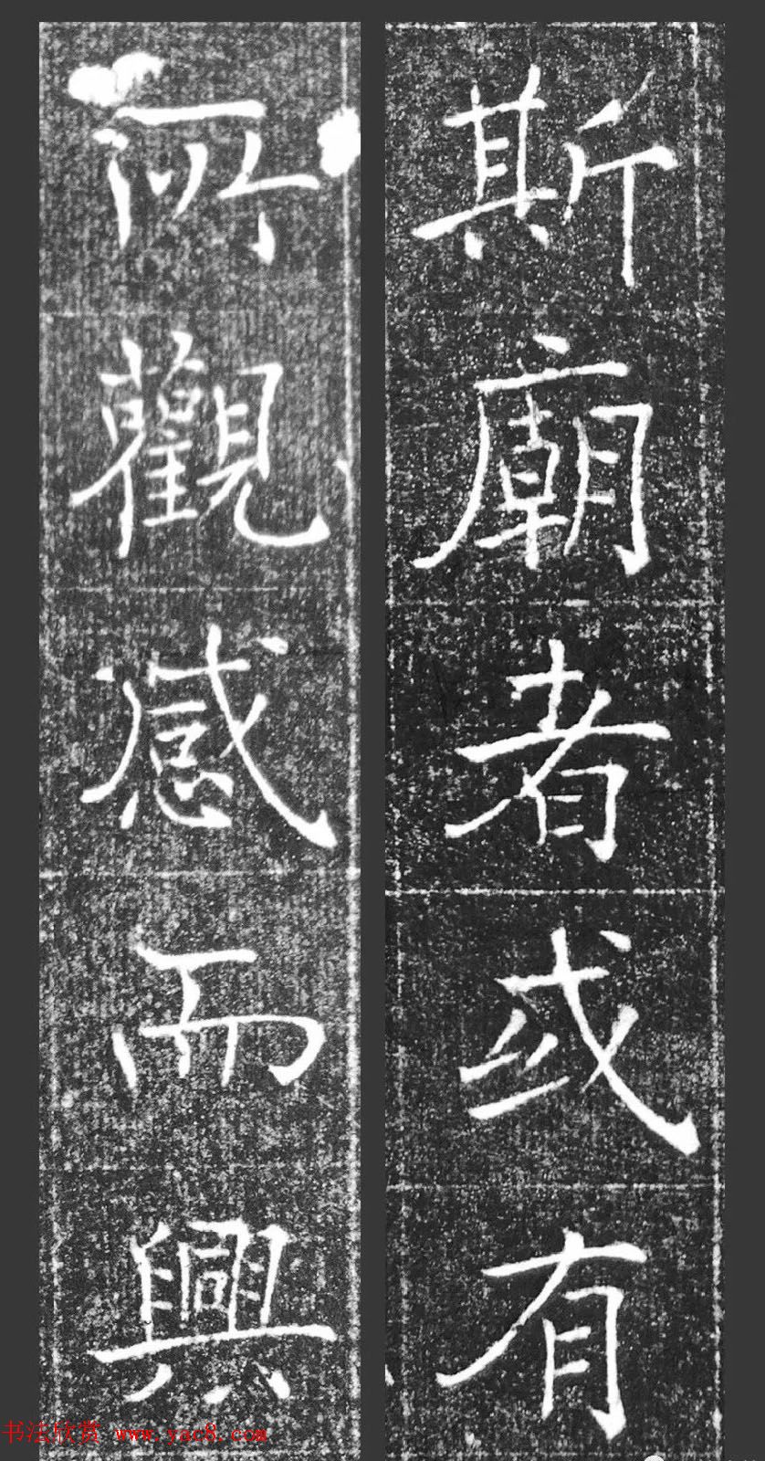 鷨޼ǡ