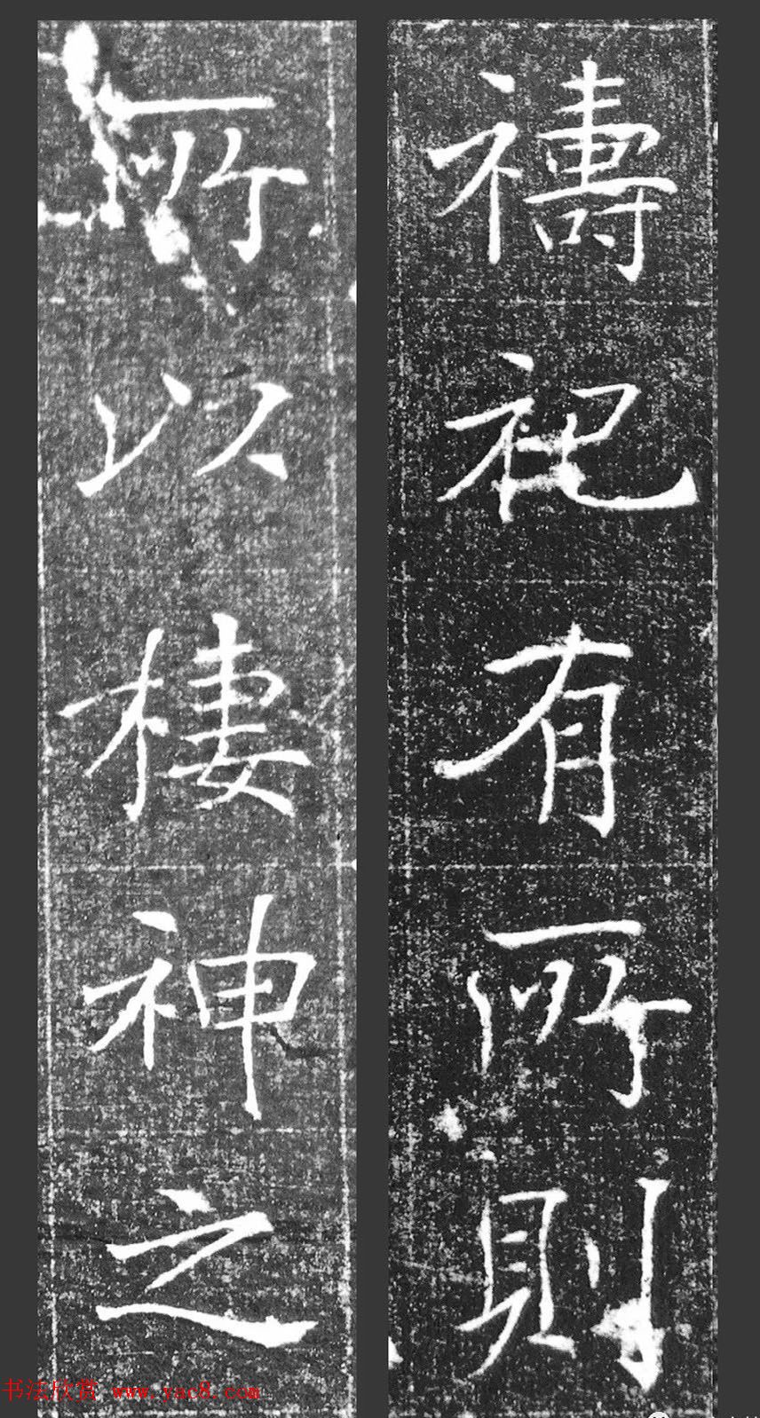 鷨޼ǡ