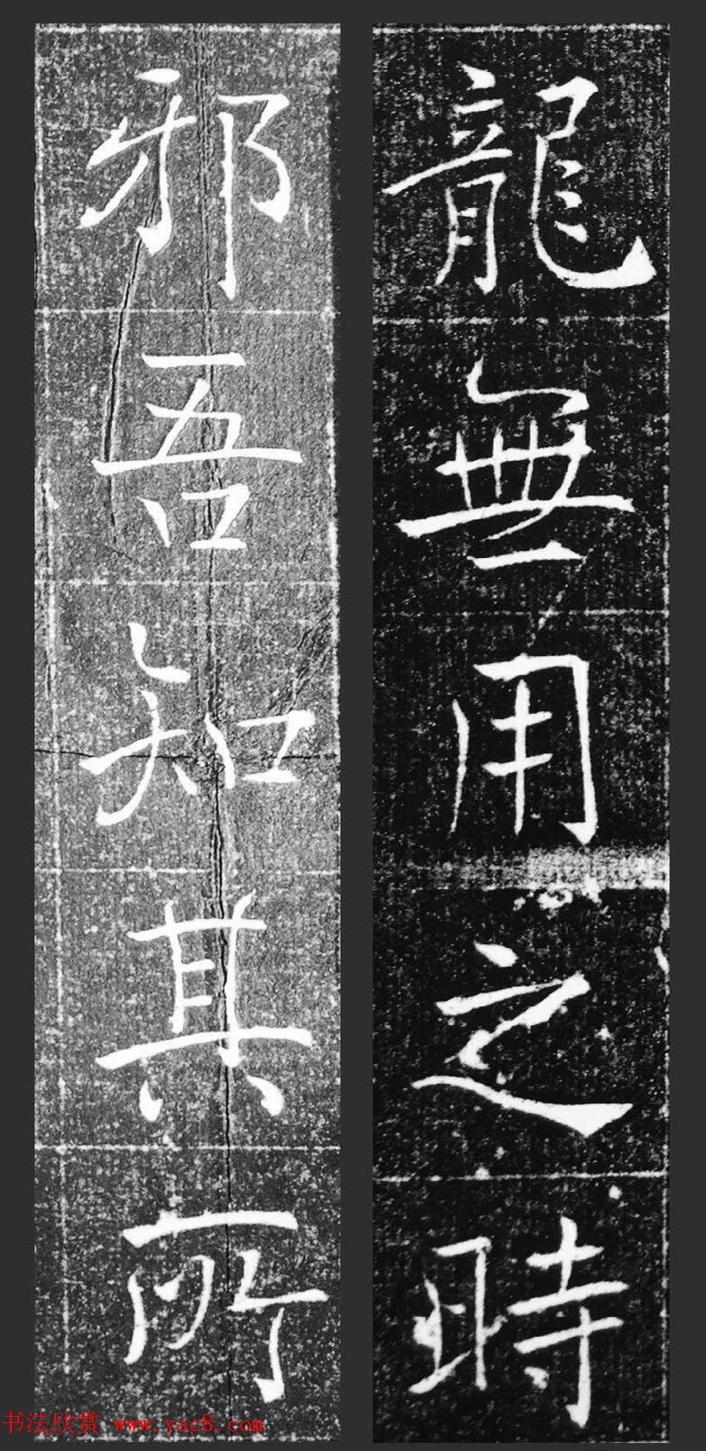 鷨޼ǡ