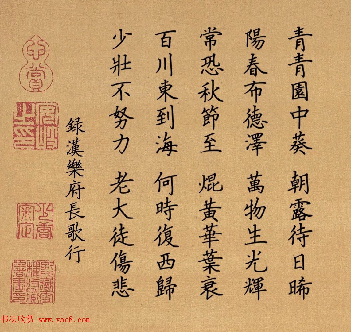\鼯֡С