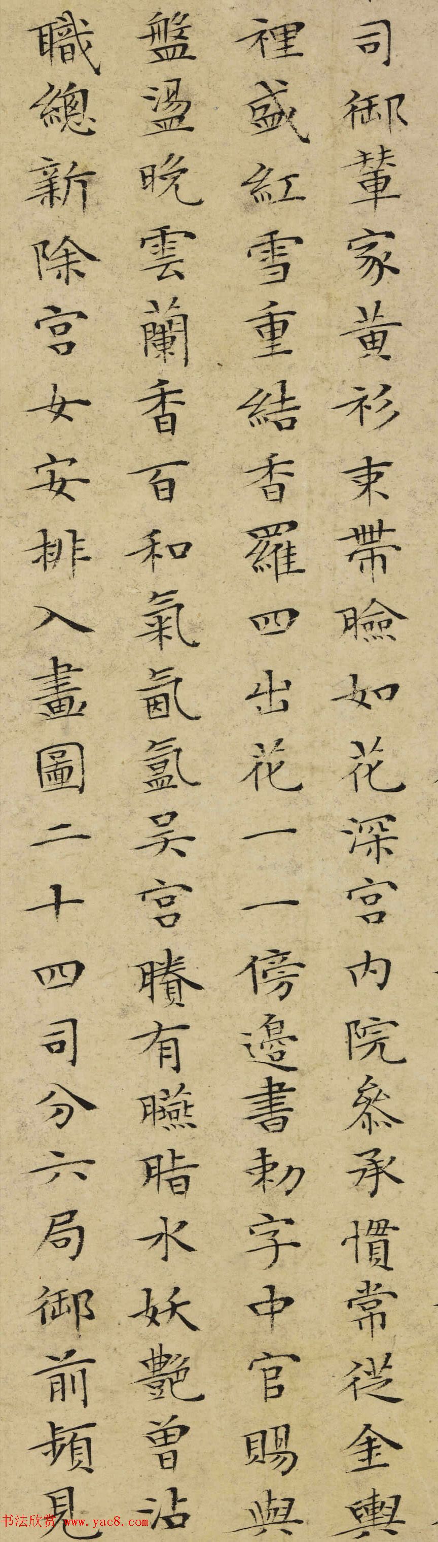 С鷨ʡα