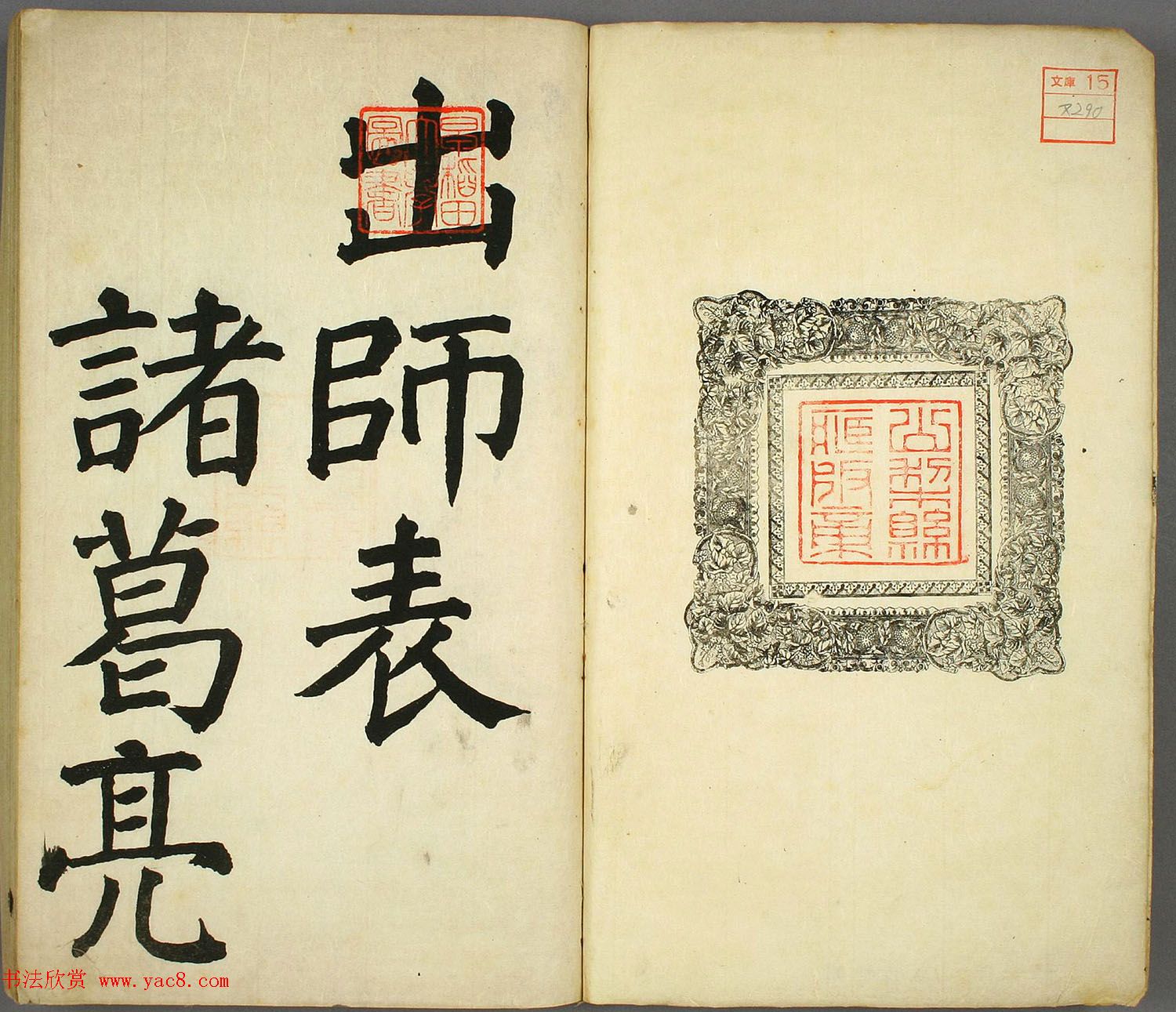 ձ鷨ʦ