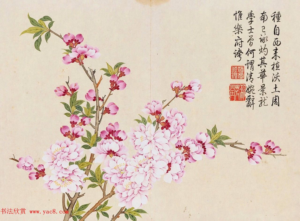 乾隆书法御题钱维城花卉册页 乾隆书法御题钱维城花卉册页