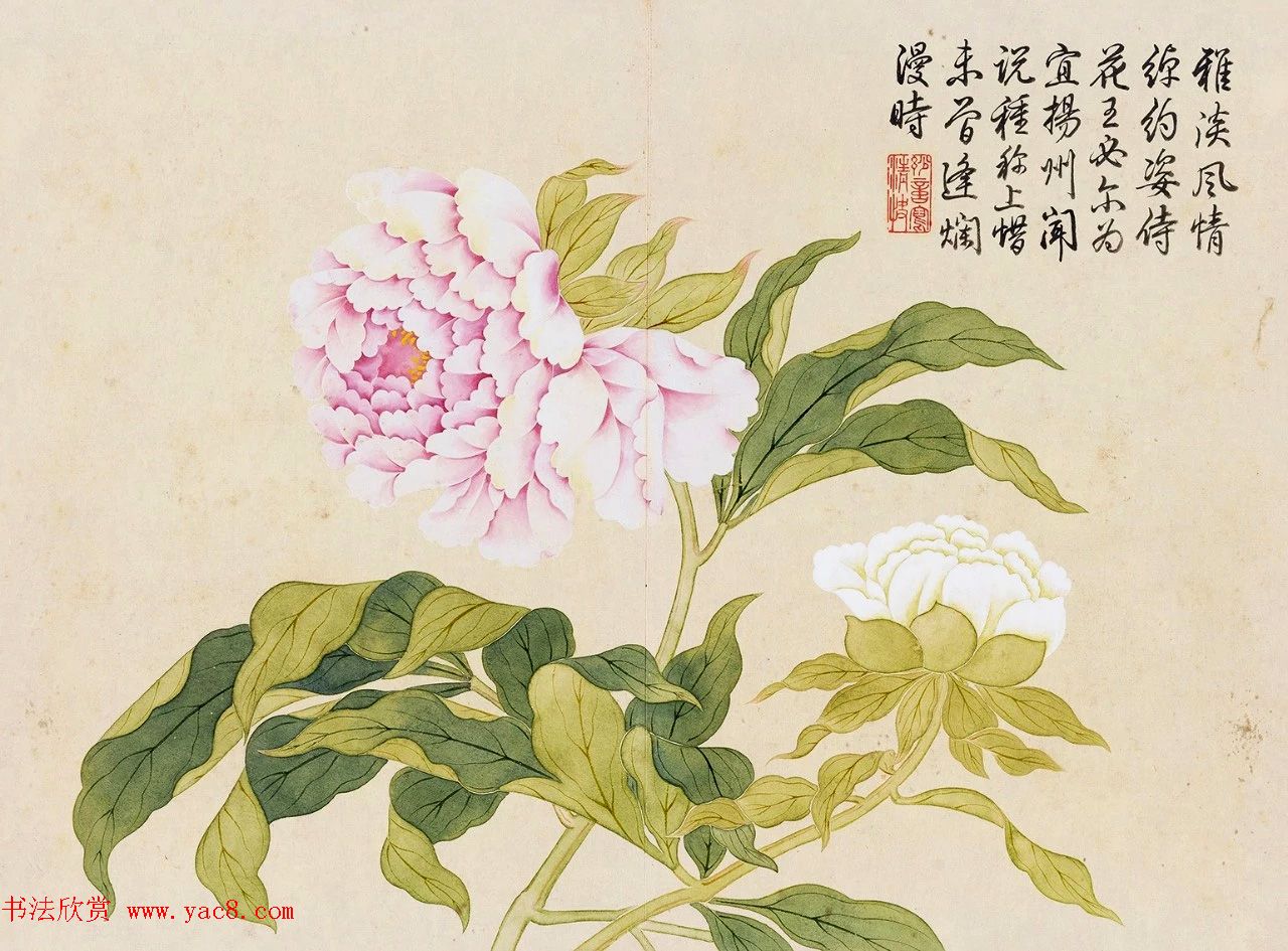 Ǭ¡鷨Ǯάǻܲҳ