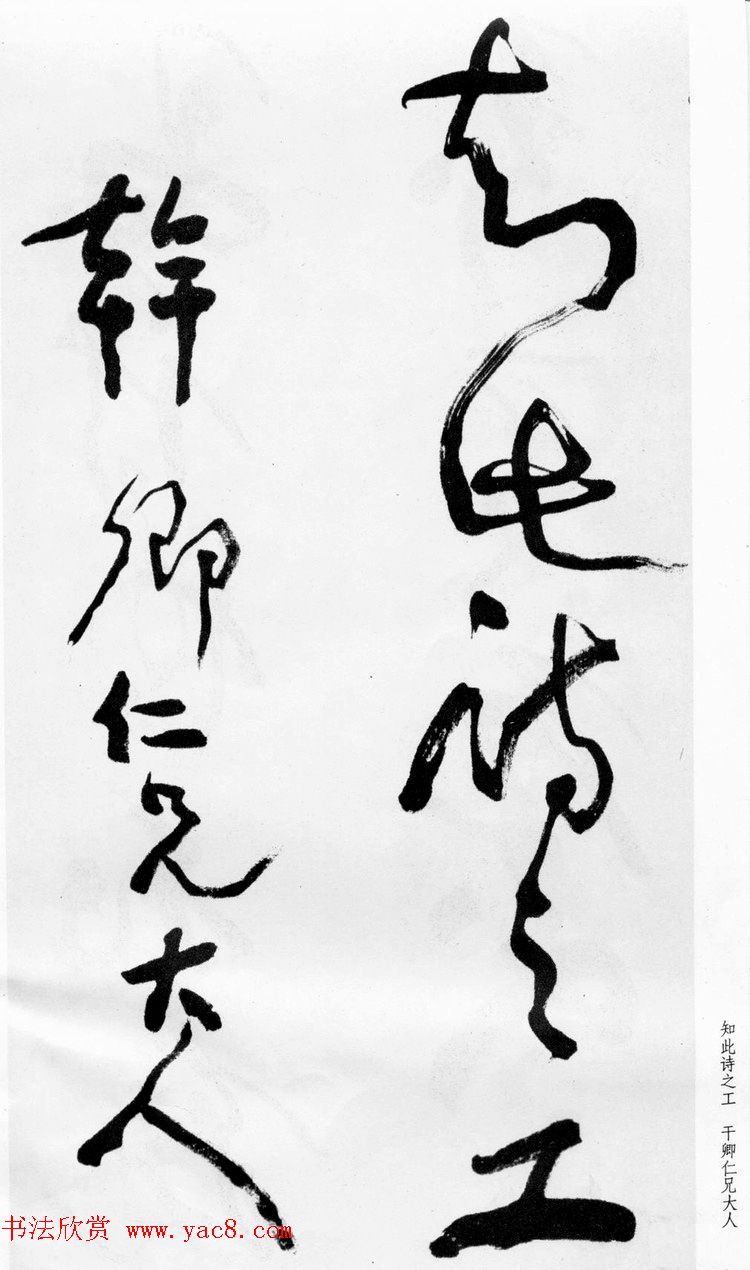 ѻ顶ʫ