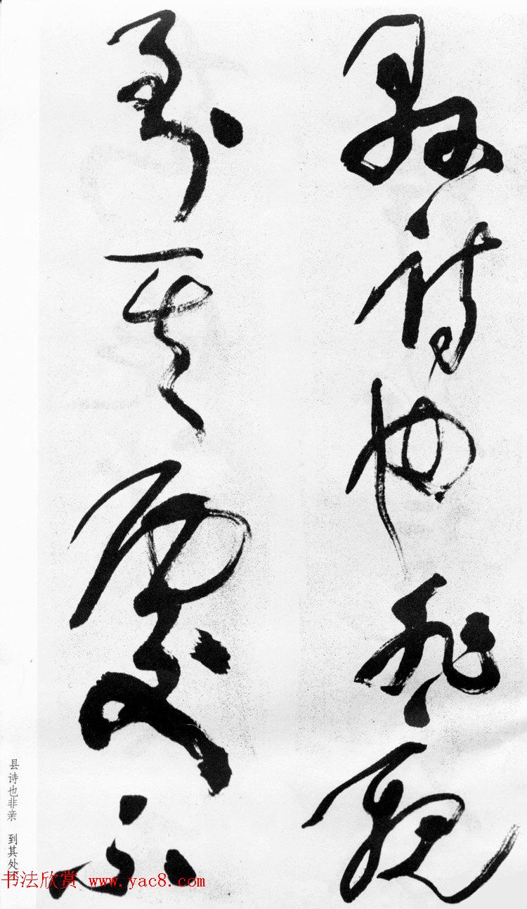 ѻ顶ʫ