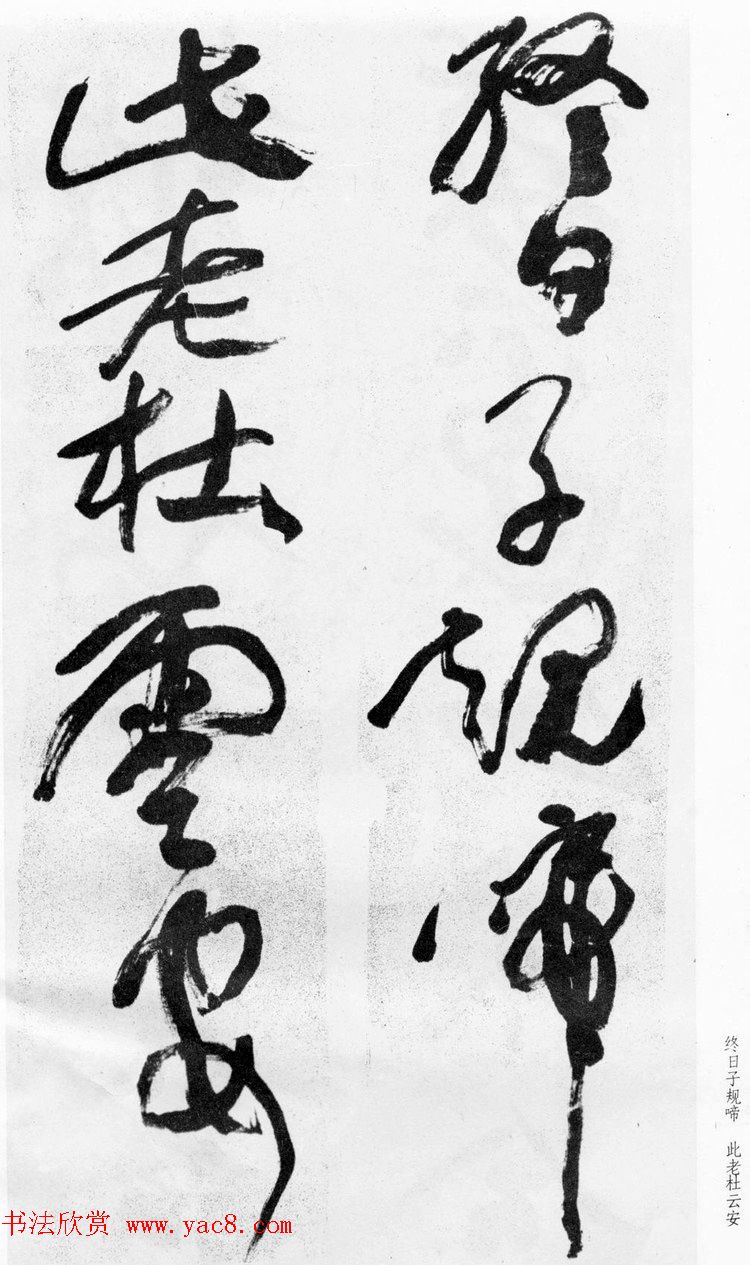 ѻ顶ʫ