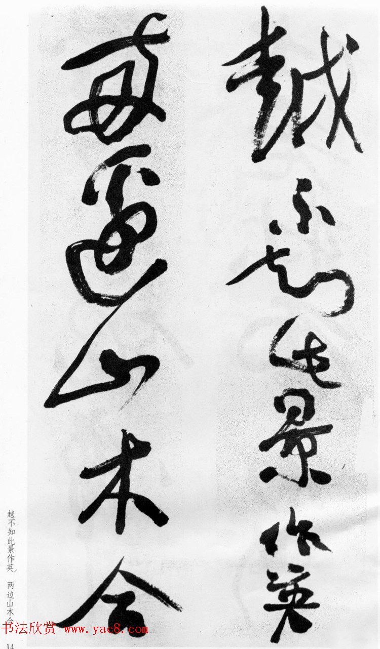 ѻ顶ʫ