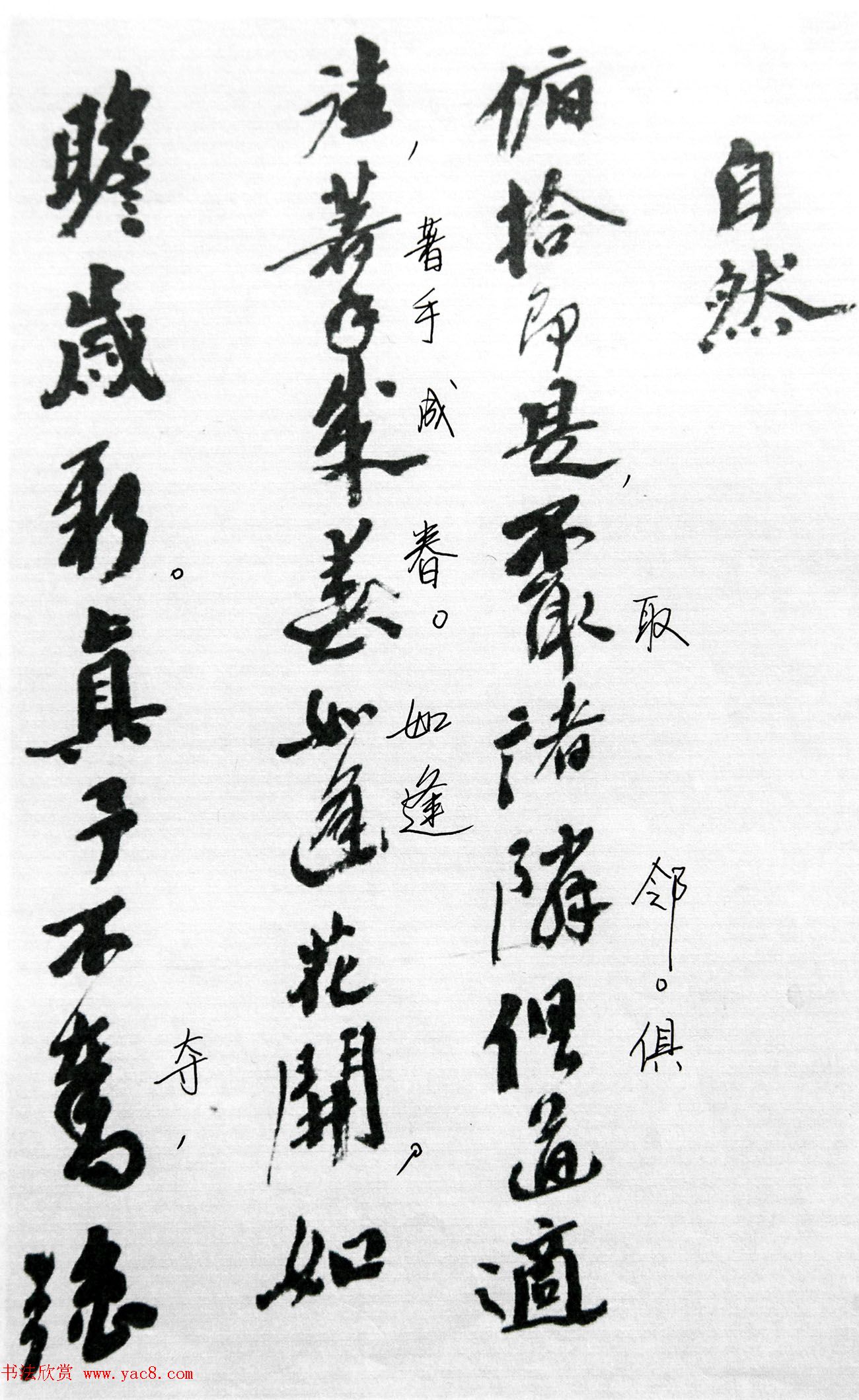 沙孟海86岁书法《司空表圣诗品二十四则》(3)