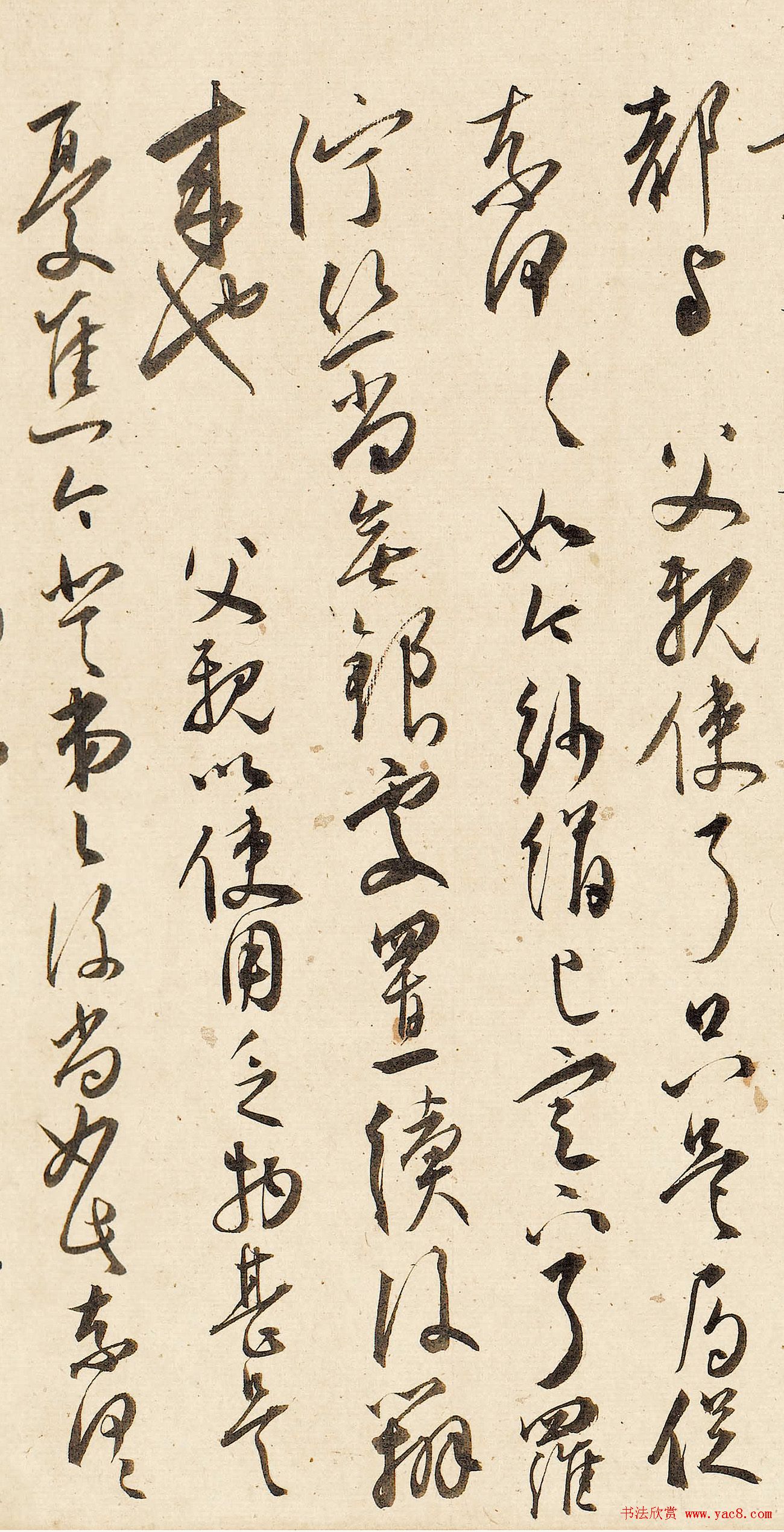 в鷨