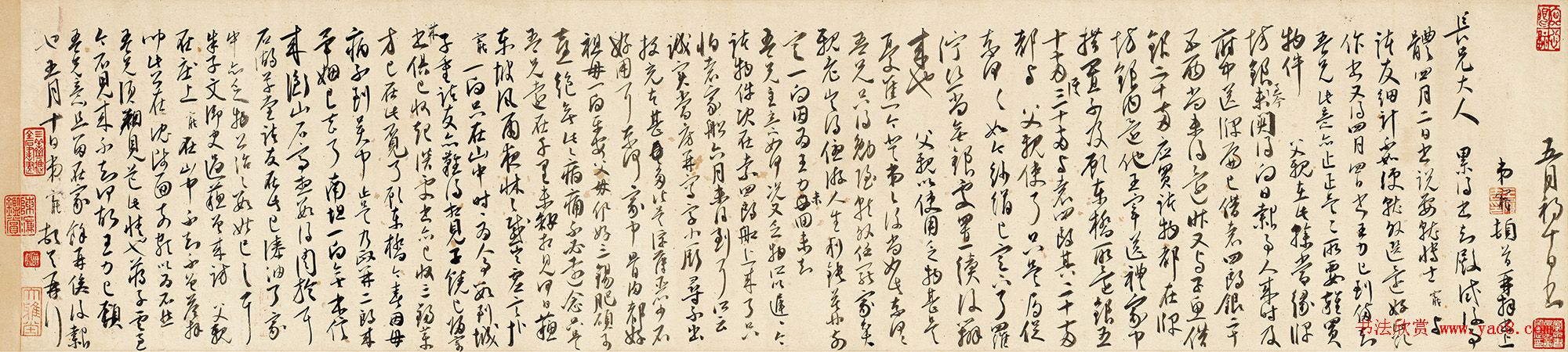 в鷨