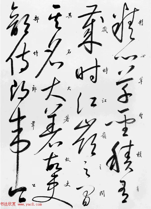 启功草书临唐怀素自叙帖