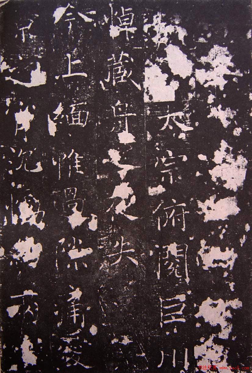 ƴ鱮