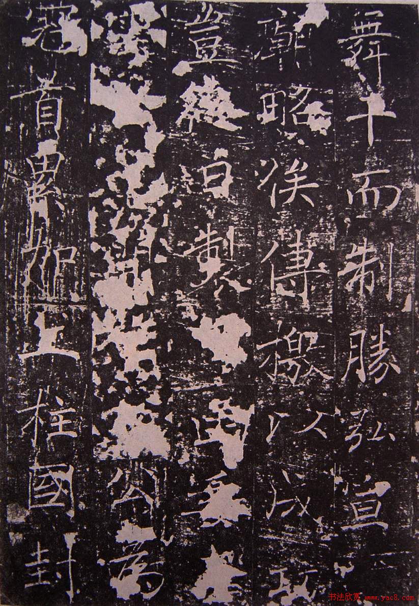 ƴ鱮