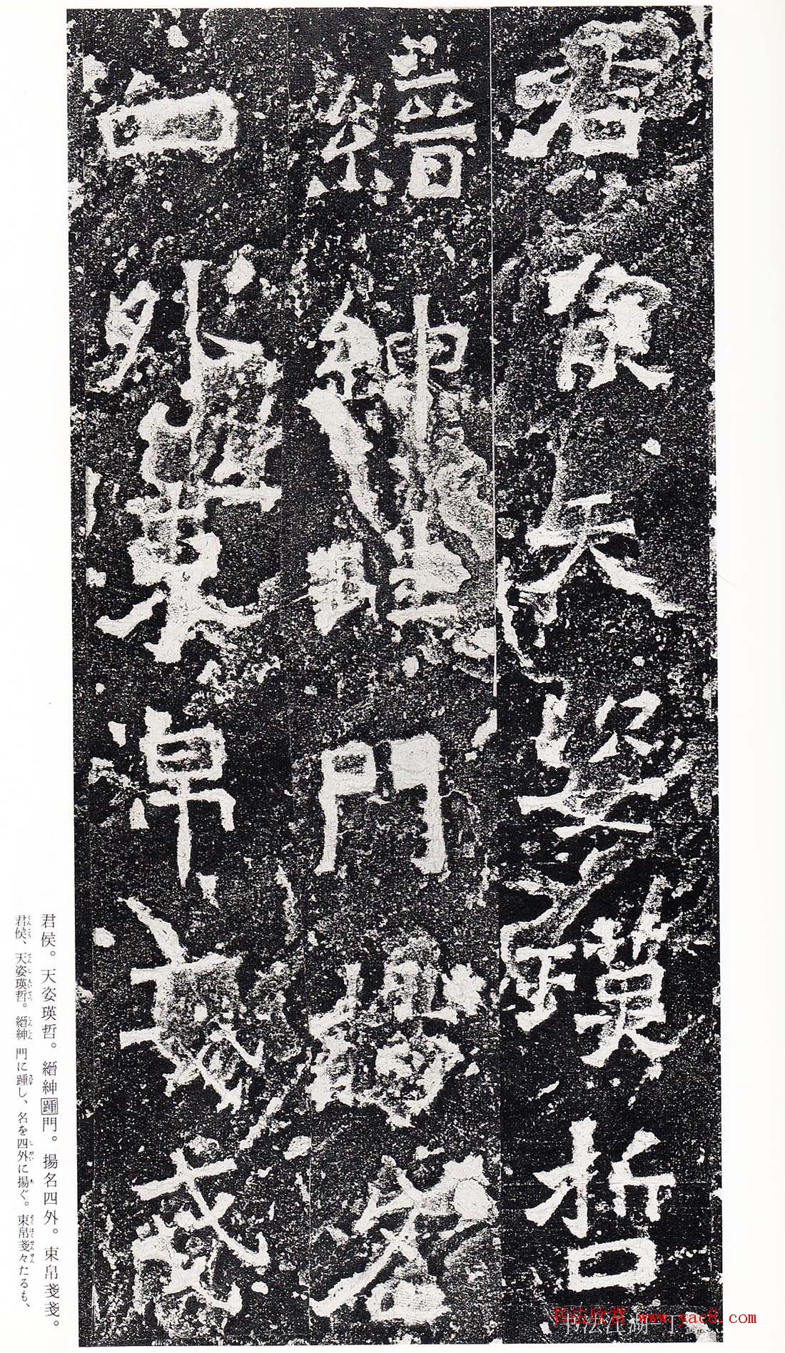 ϳ鷨رձ