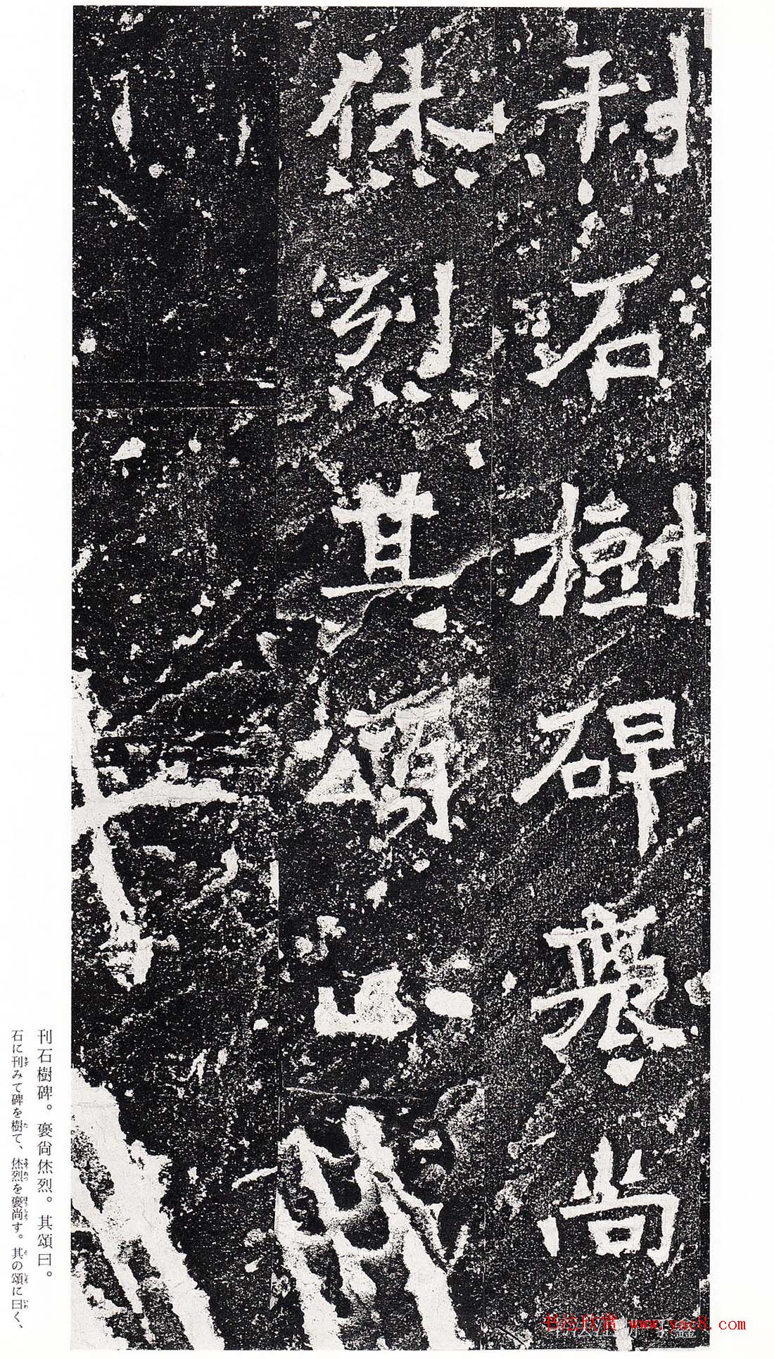 ϳ鷨رձ
