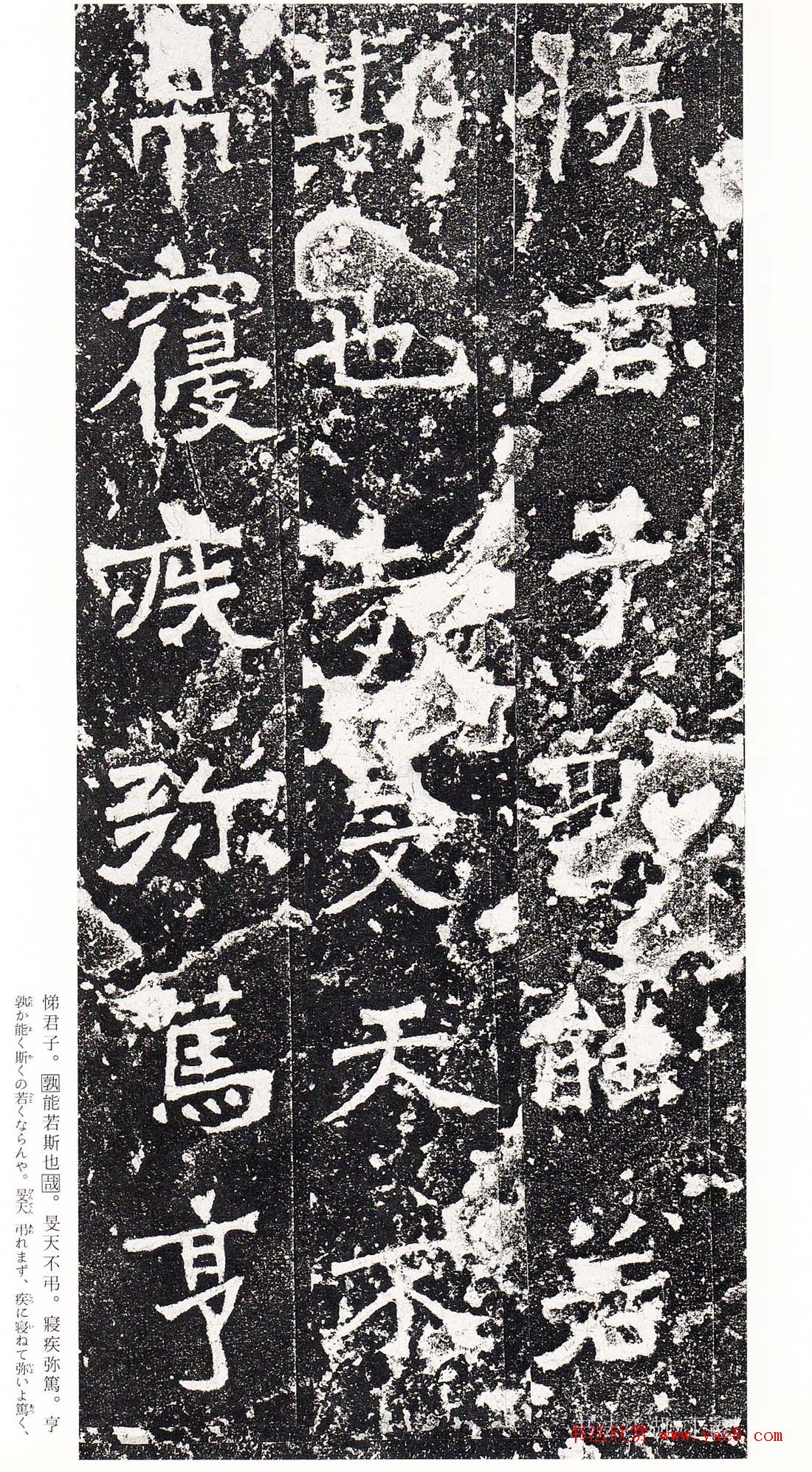 ϳ鷨رձ
