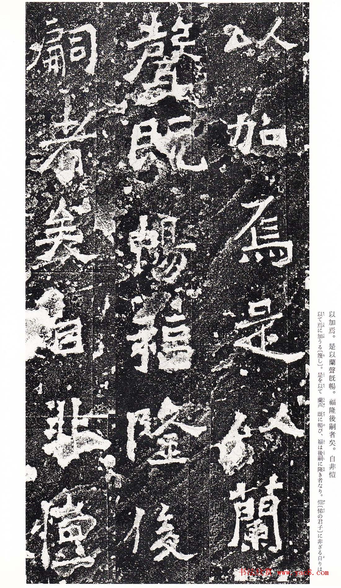 ϳ鷨رձ