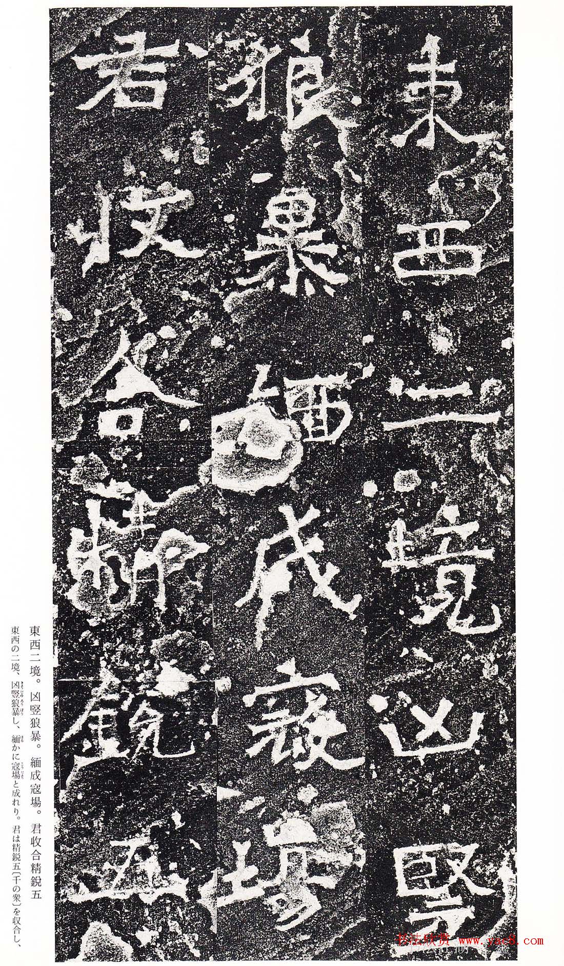 ϳ鷨رձ