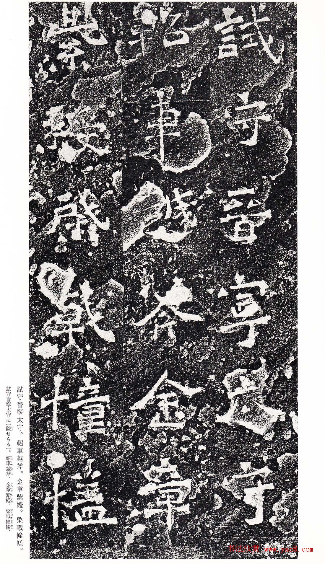 ϳ鷨رձ