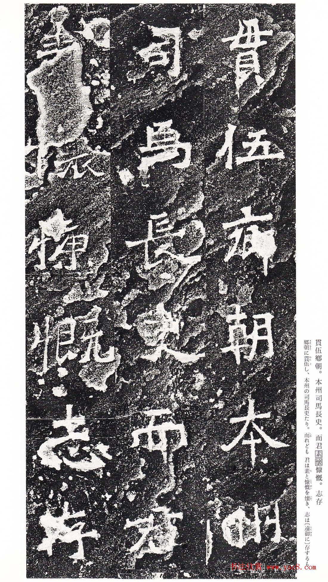 ϳ鷨رձ