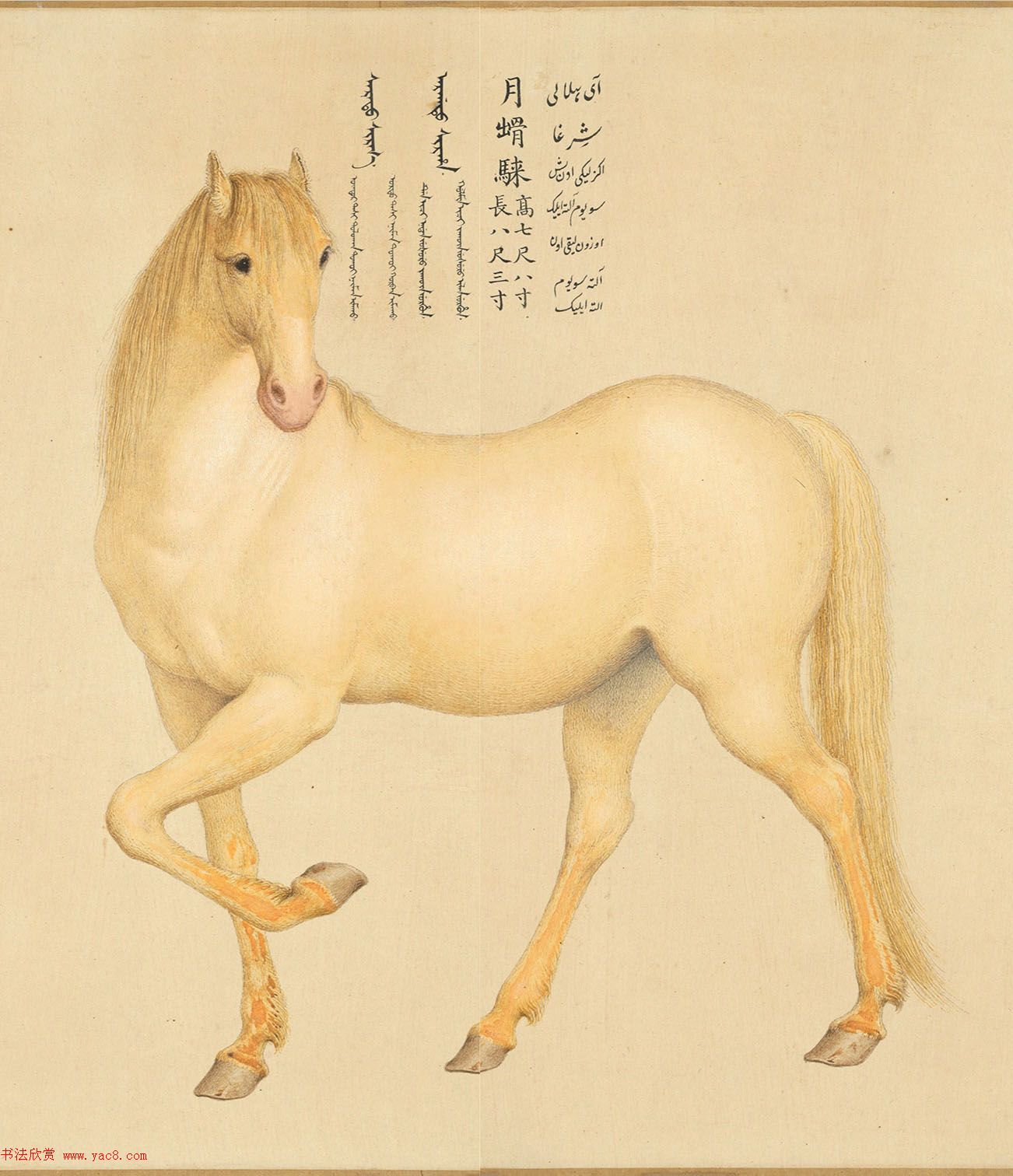 乾隆御笔书爱乌罕四骏歌附郎世宁画马2