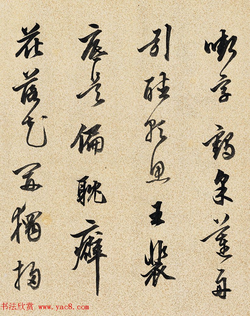 ¼סǮС