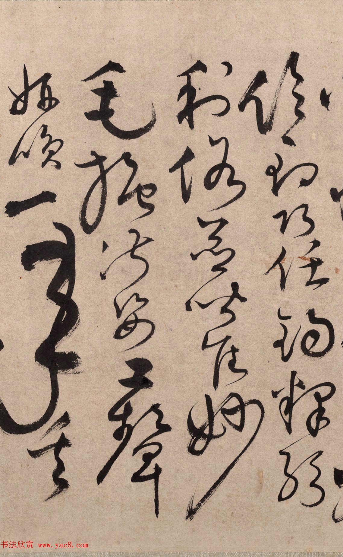 鷨͡ǧġ־
