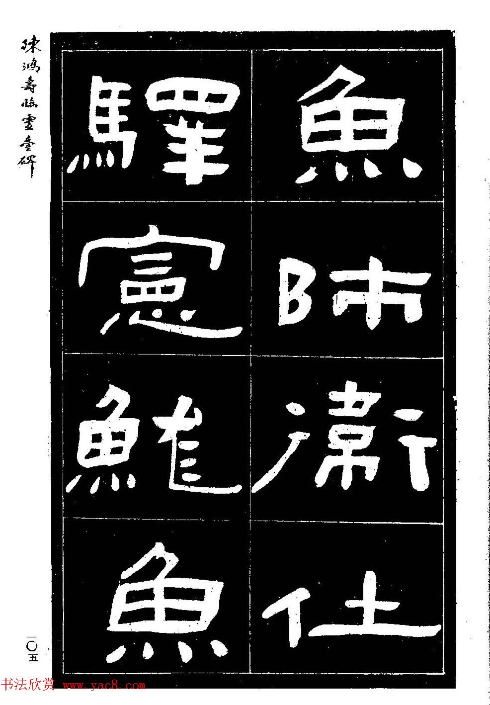 º鷨١̨
