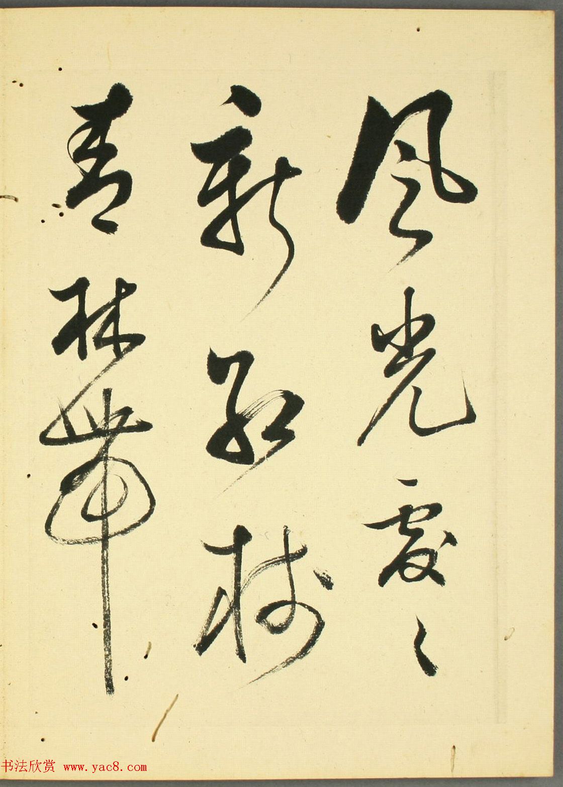 ձʯիв١顷