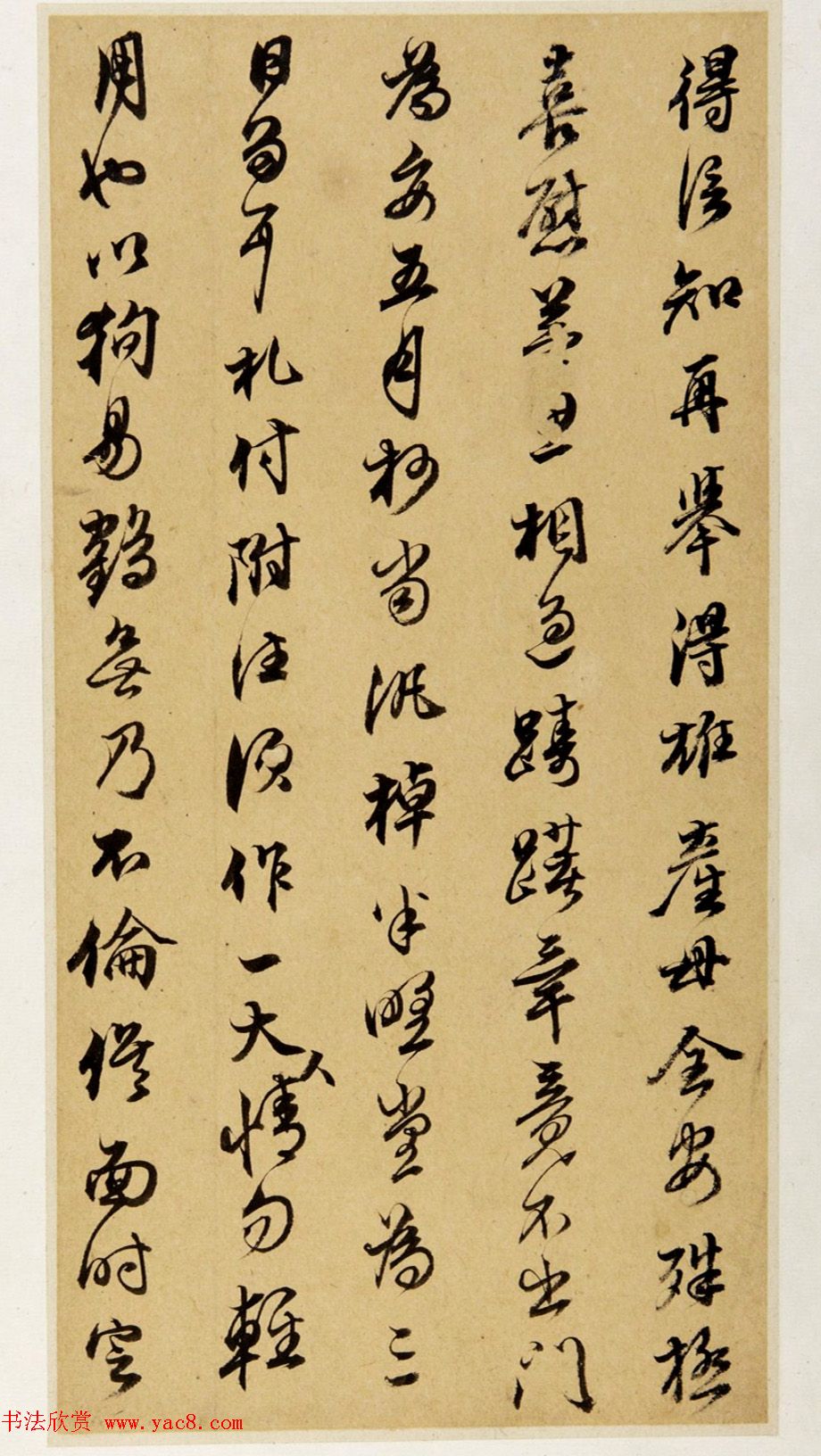 ϡ鷨ī
