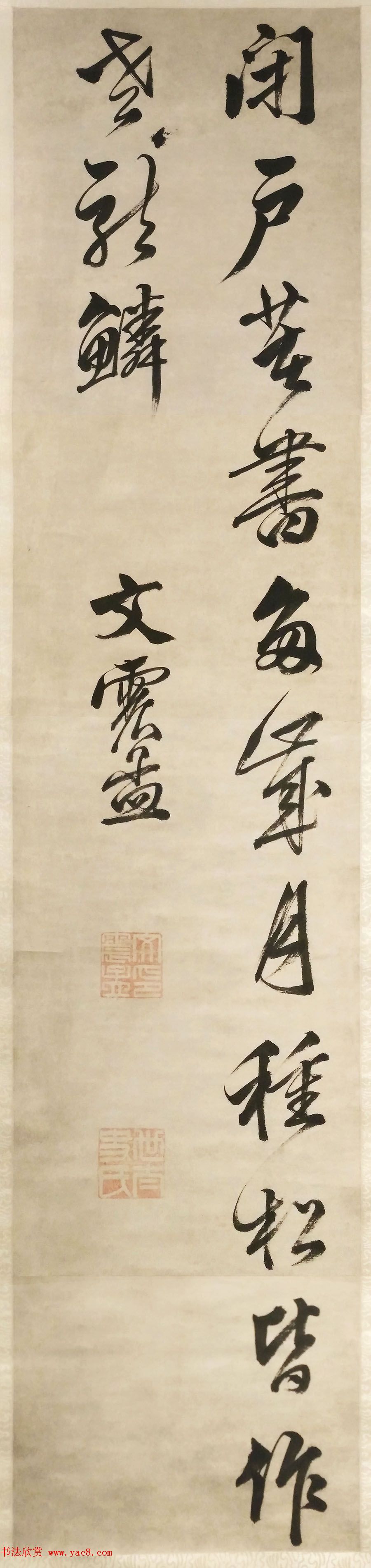 鷨ī
