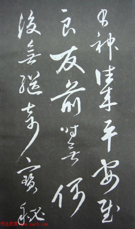 ع鷨֮͡顷