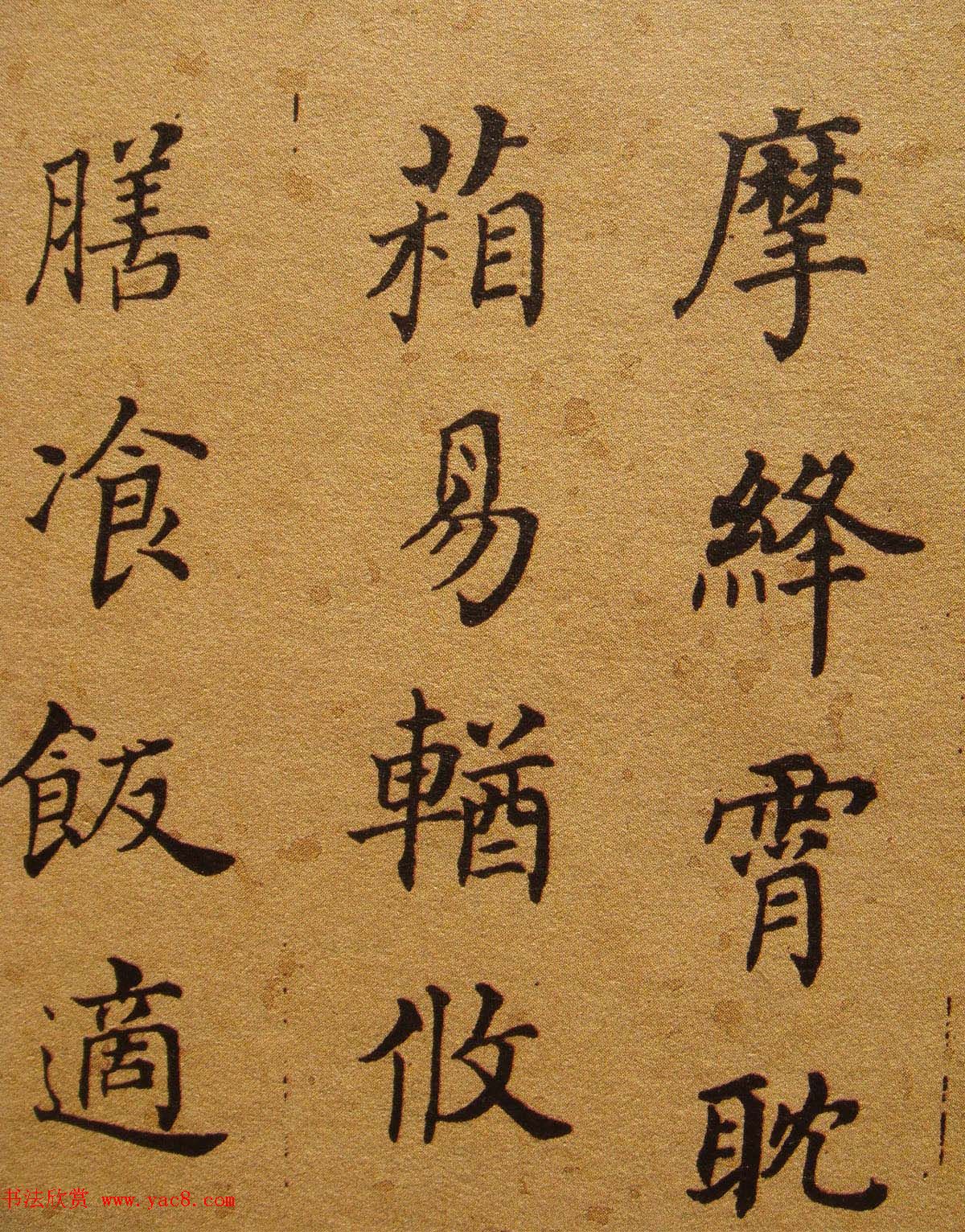 տ顶ǧġ
