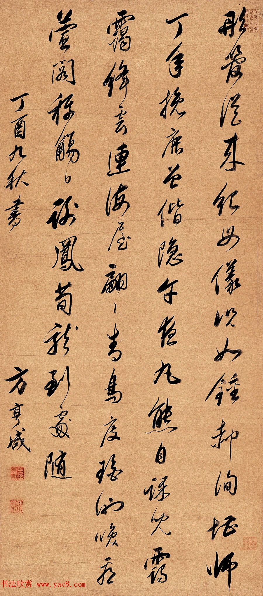 鷨ī