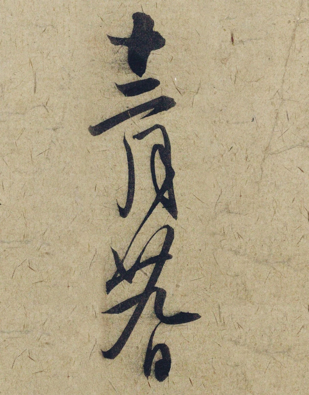 �����\38���в��顶����������ָ����ͼ��