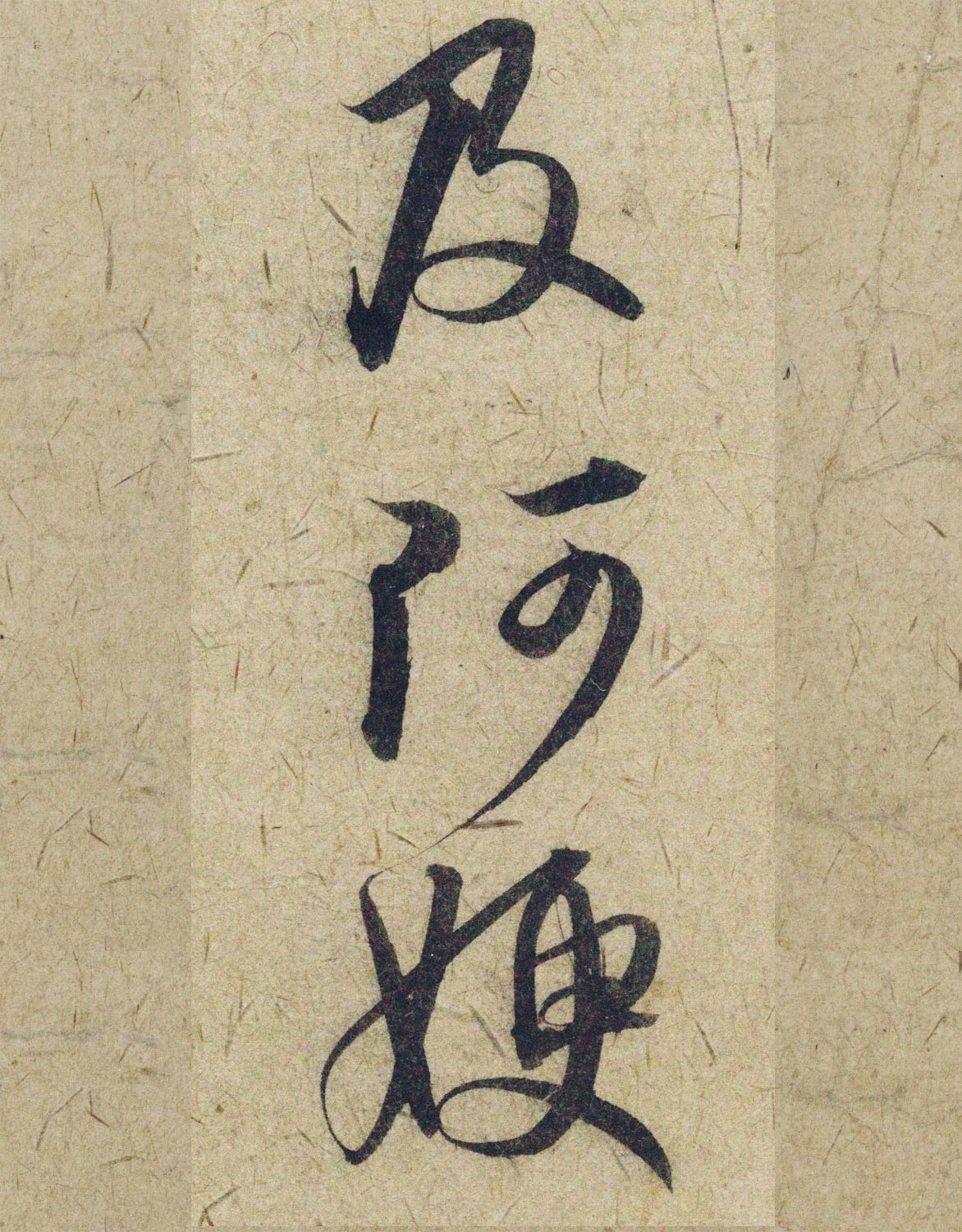 �����\38���в��顶����������ָ����ͼ��