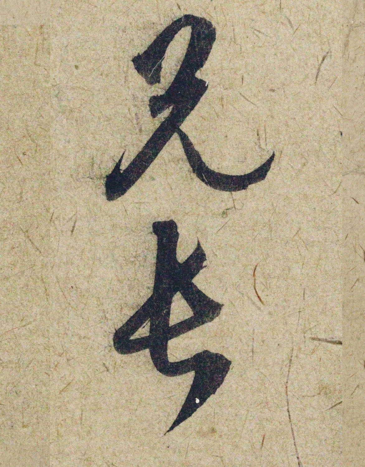 �����\38���в��顶����������ָ����ͼ��