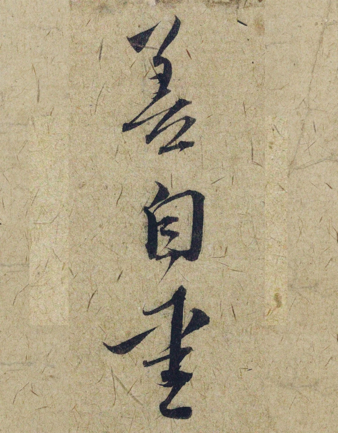 �����\38���в��顶����������ָ����ͼ��