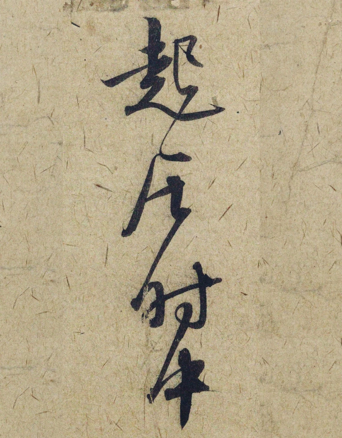 �����\38���в��顶����������ָ����ͼ��